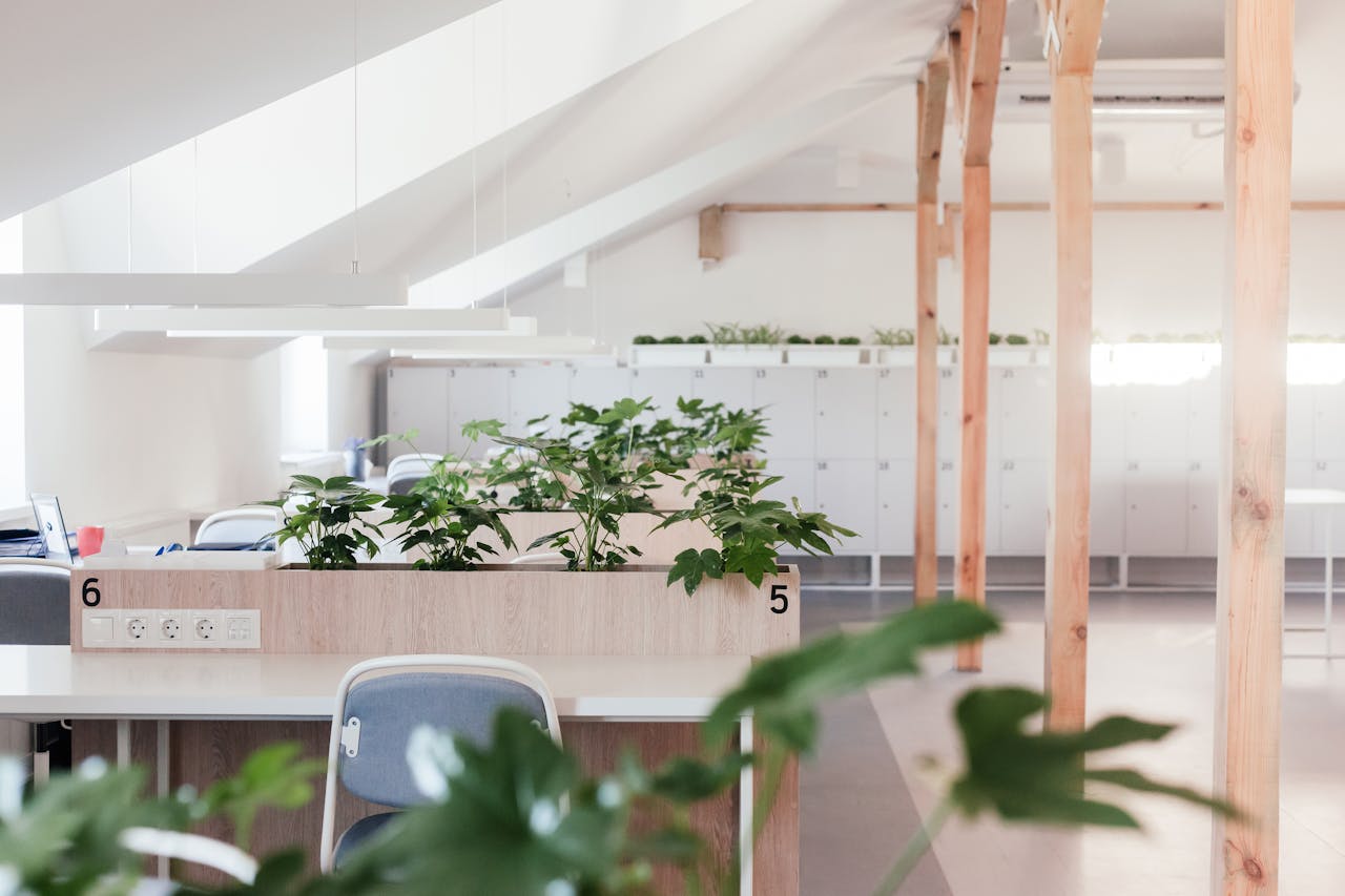Bright, minimalist office space with natural light and indoor plants, emphasizing a calm work environment.